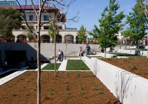 Stanford University – School of Engineering Quad, Phases 1 & 2